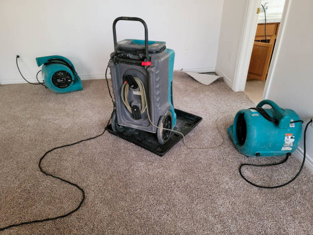 Best Water damage cleanup near me  in Waterville, MN