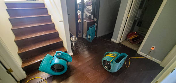Best Sewage cleanup and water damage restoration  in Waterville, MN