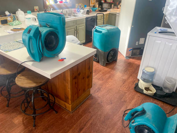 Best Basement water damage restoration  in Waterville, MN