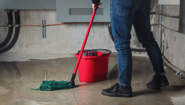Water damage restoration experts in Waterville, MN