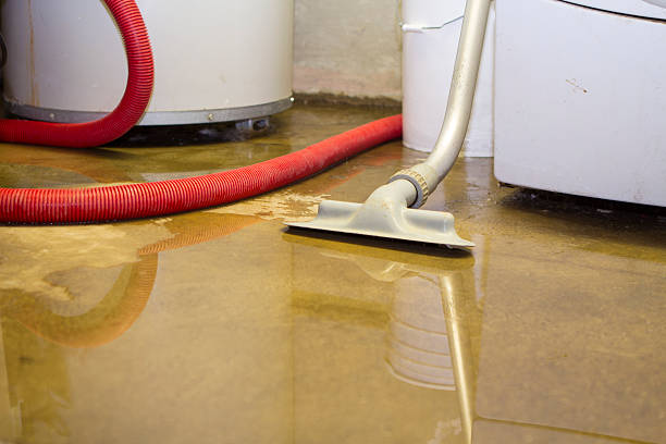 Trusted Waterville, MN Water damage restoration Experts