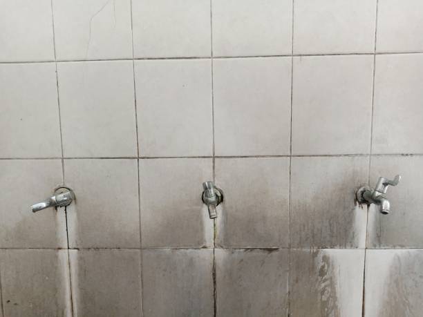 Reliable Waterville, MN Water damage restoration Solutions