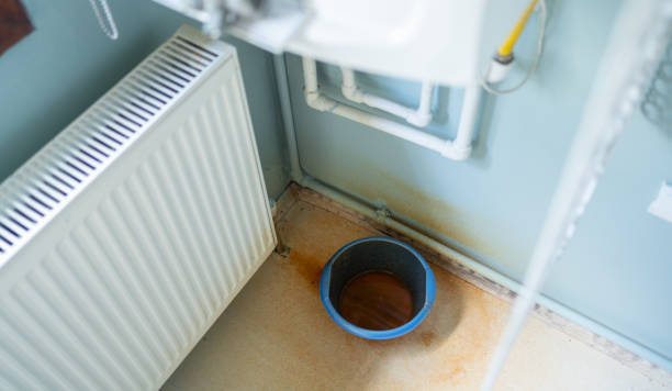 Best Water damage contractors near me  in Waterville, MN