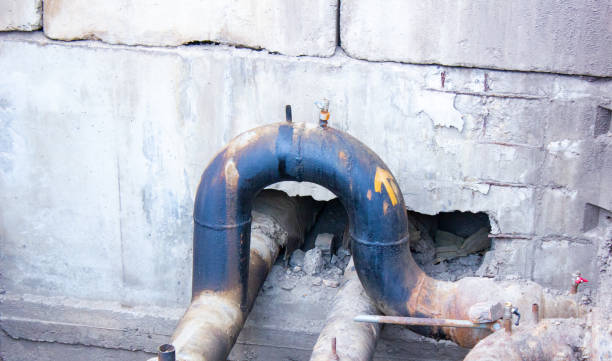 Best Local water damage restoration  in Waterville, MN