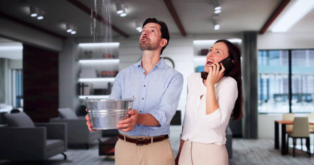 Best Local water damage restoration  in Waterville, MN