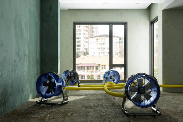 Best Commercial water damage restoration  in Waterville, MN